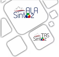 ALA Sintez logo