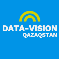 LOGO DATA VISION